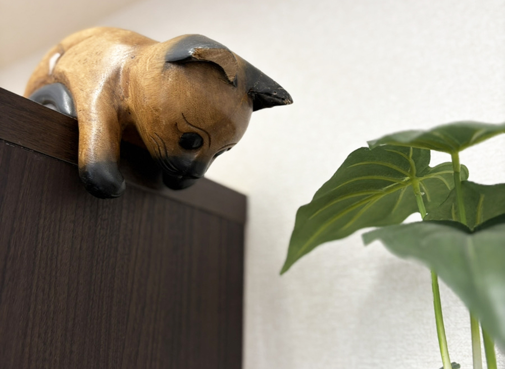 イメージ画像